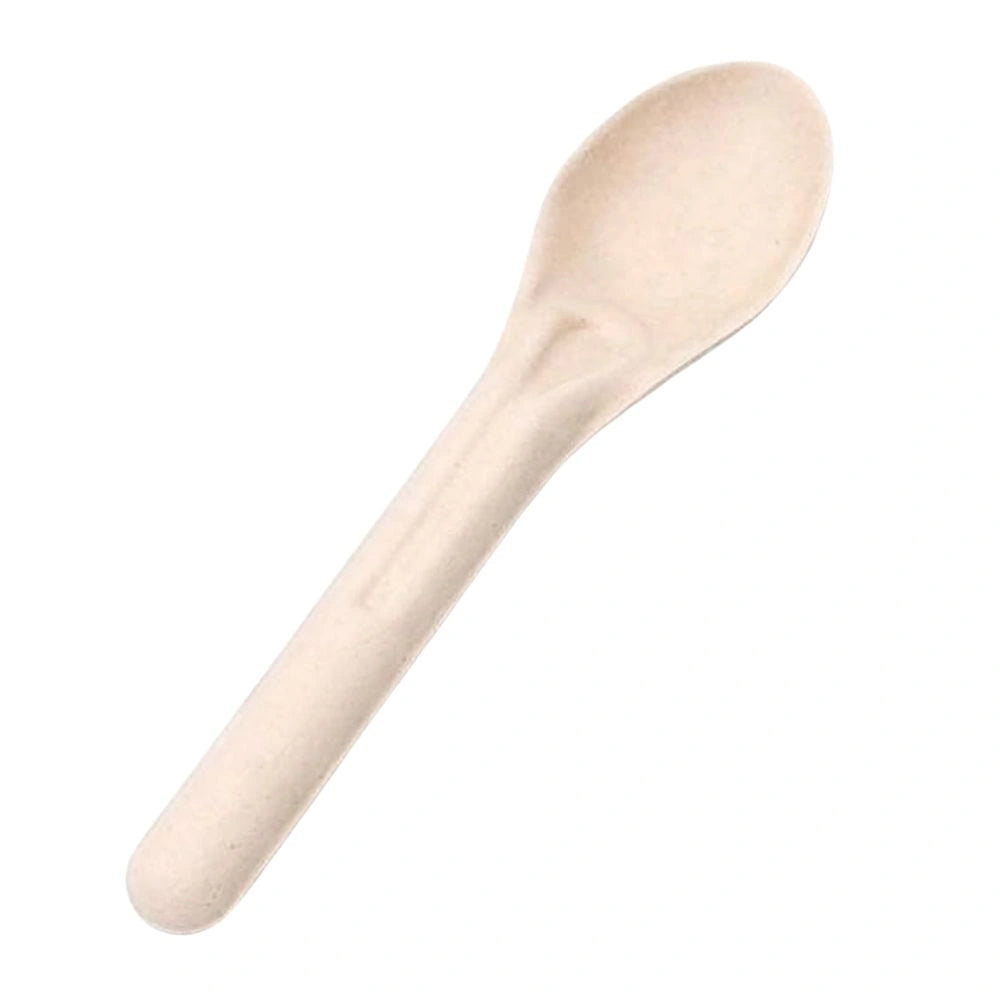 Baggase Spoon (1000 Per Box)